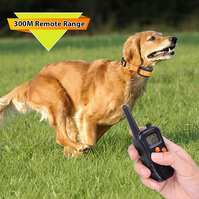 Waterproof Dog Training Collar with Wireless Remote Rechargeable 300M