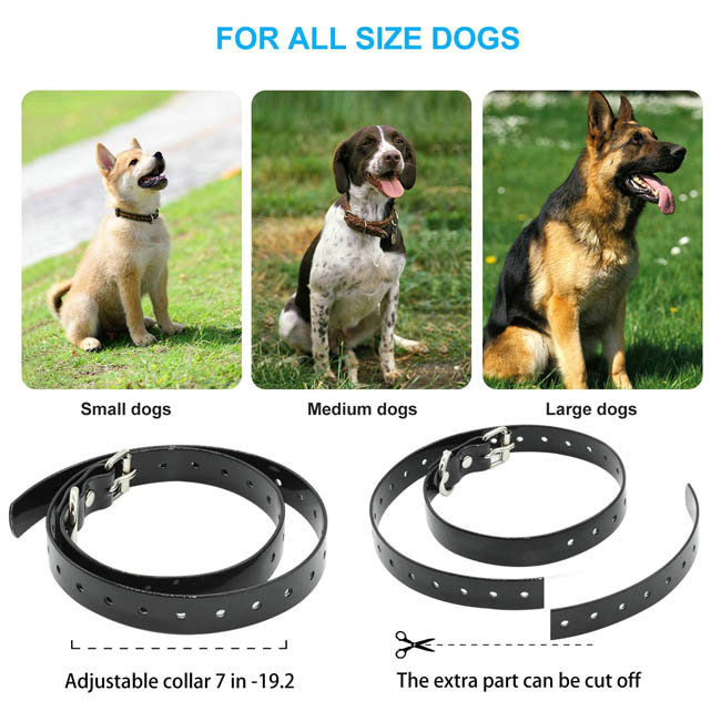 Waterproof&rechargeable dog training collar for 2 dogs