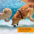 Waterproof&rechargeable dog training collar for 2 dogs