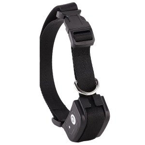 Rechargeable Remote Receiver Collar for M81/M82 Dog Training Collar Rechargeable Remote Receiver Collar for M81/M82 Dog Training Collar