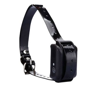 Rechargeable Waterproof Dog Training Collar with M86 Collars Rechargeable Waterproof Dog Training Collar with M86 Collars