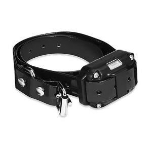 dog training collar 800M remote rechargeable and waterproof dog trainer alone collar dog training collar 800M remote rechargeable and waterproof dog trainer alone collar