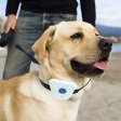 Ultrasonic Dog Anti Bark Stop Barking Collar Dog Training Collar