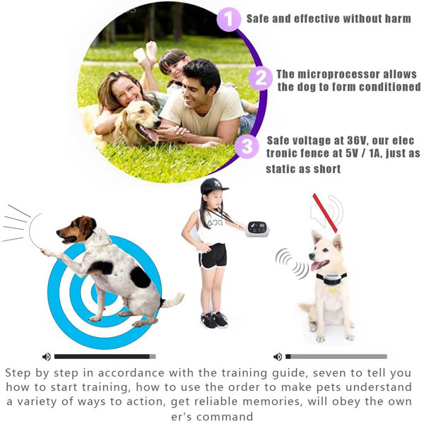 Outdoor Wireless Electronic Dog Fence System