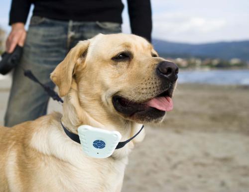 Ultrasonic Dog Anti Bark Stop Barking Collar Dog Training Collar