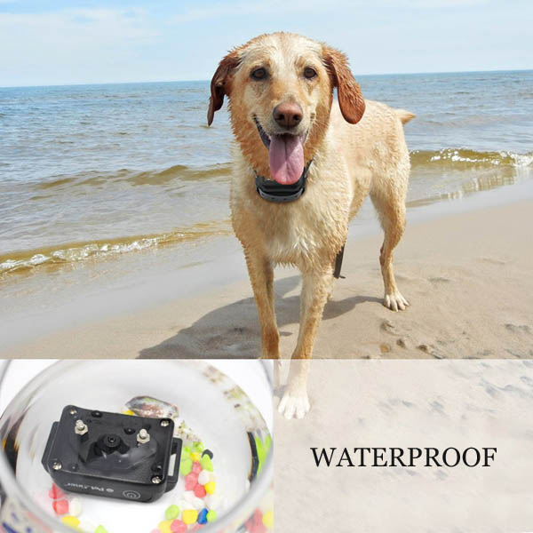 Rechargeable Waterproof Dog Training Collar with remote shock E-Collar