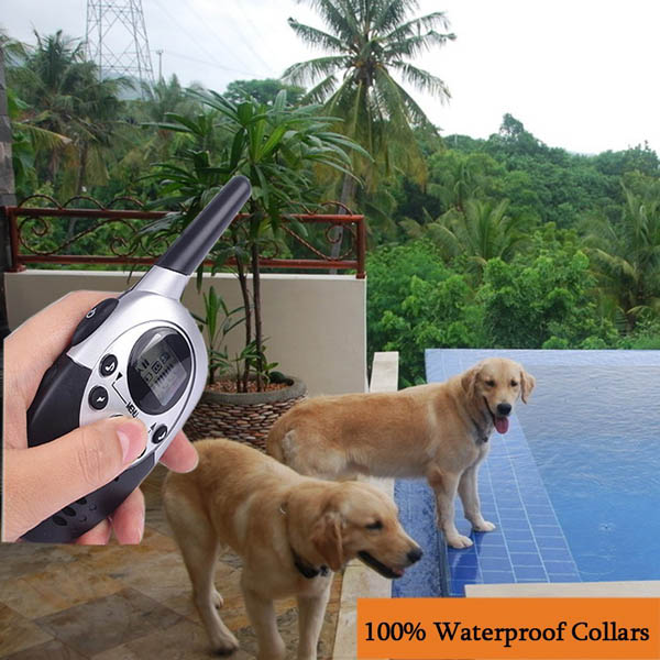 Waterproof Dog E-Collar Trainer with remote Rechargeable E-Collar for 2 Dogs