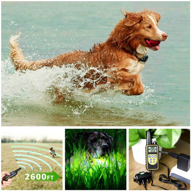 dog training collar 800M remote rechargeable and waterproof dog trainer