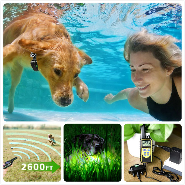 dog training collar 800M remote rechargeable and waterproof dog trainer for 3 dogs