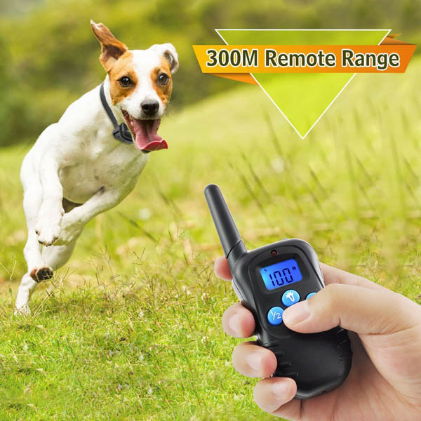 Dog Training Collar with Waterproof Rechargeable Remote