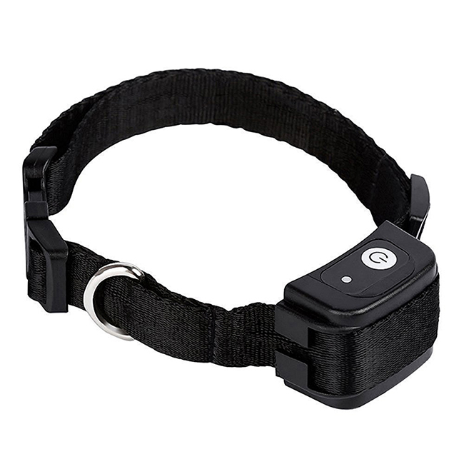 Rechargeable Remote Receiver Collar for M81/M82 Dog Training Collar
